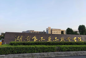 株洲升学网